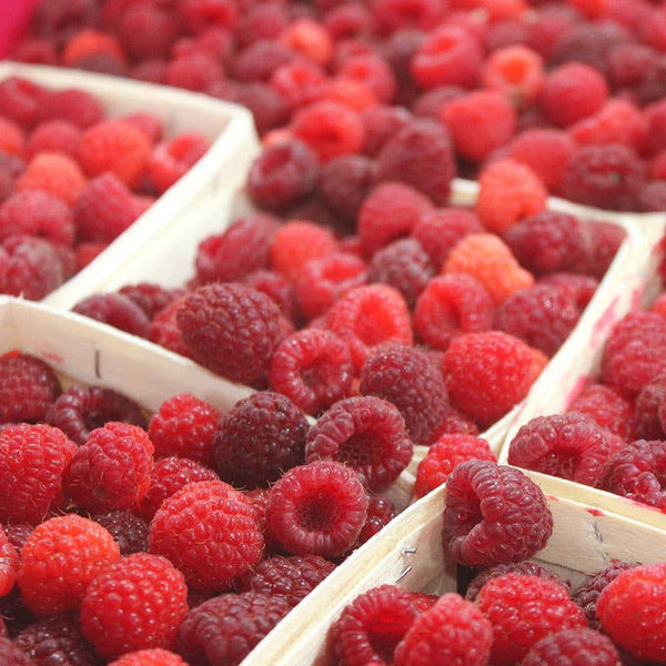 Jam, Raspberry Mostarda