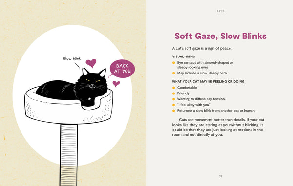 Book, Kitty Language