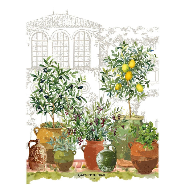 Tea Towel, Jardin Provencal Olive, Made in France