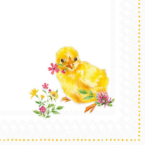 Napkins, Cocktail, Chicks