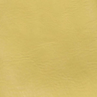 Crossbody/Cell Phone Bag: Limoncello