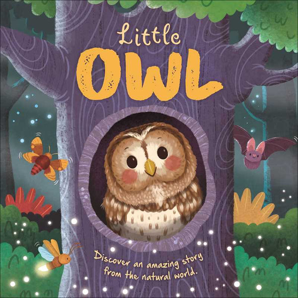 Children's Book, Nature Stories: Little Owl