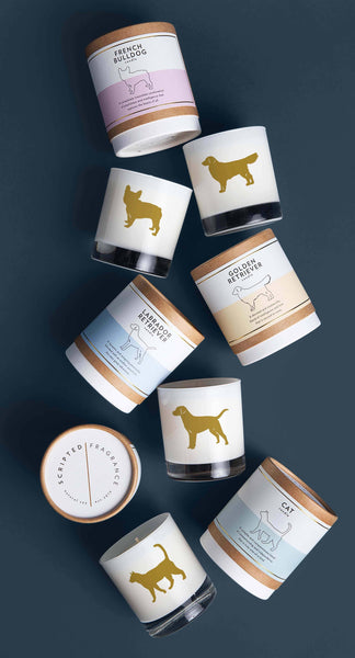 Candle, Cat: Reusable Glass