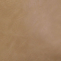 Crossbody/Cell Phone Bag: Camel