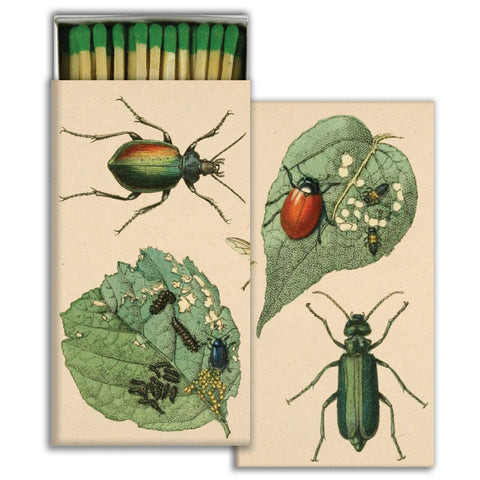 Matches - Munching Insects