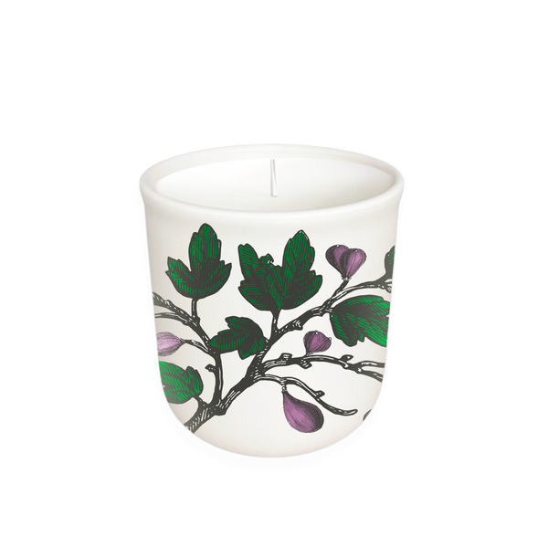 Candle, Fig Tree, Terrace Collection Candle