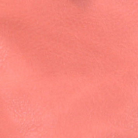 Crossbody/Cell Phone Bag: Coral