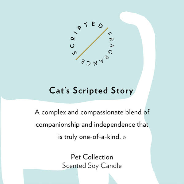 Candle, Cat: Reusable Glass