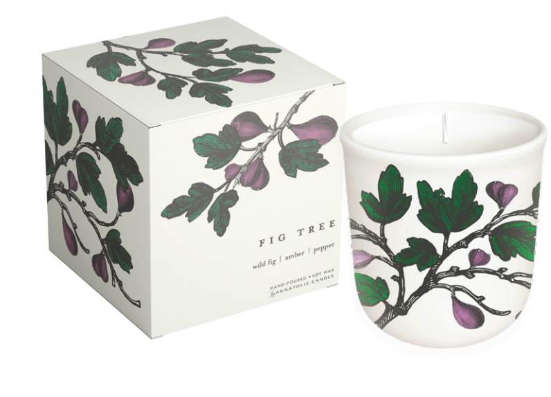 Candle, Fig Tree, Terrace Collection Candle