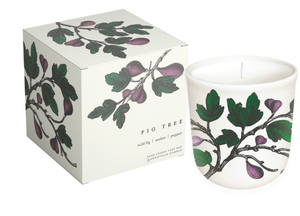 Candle, Fig Tree, Terrace Collection Candle