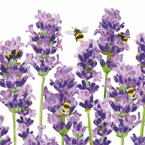 Napkins, Cocktail, Lavender and Bees