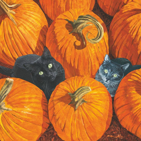 Napkins, Cocktail, Pumpkin Patch Cats