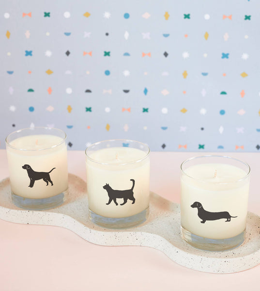 Candle, Cat: Reusable Glass
