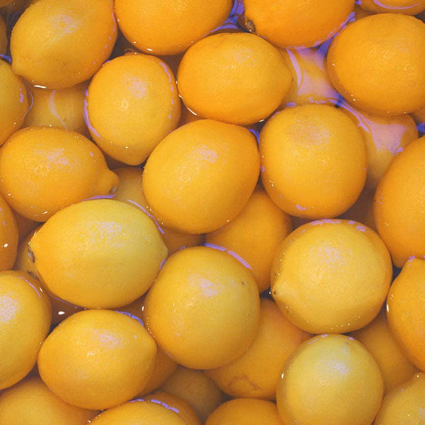 Cheese Pairing Collection: Meyer Lemon with Honey Marmalade
