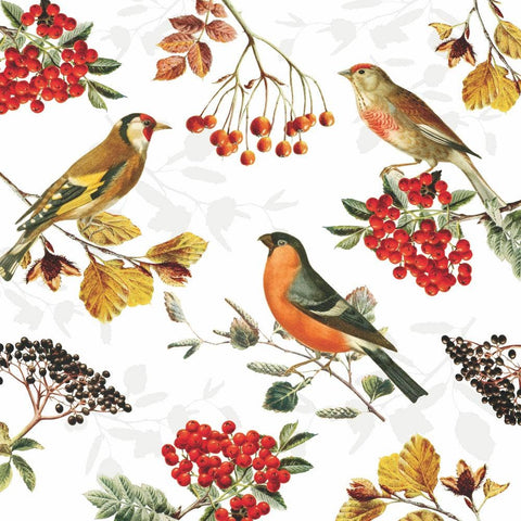 Napkins, Cocktail, Autumn Birds
