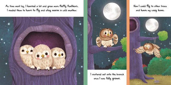 Children's Book, Nature Stories: Little Owl
