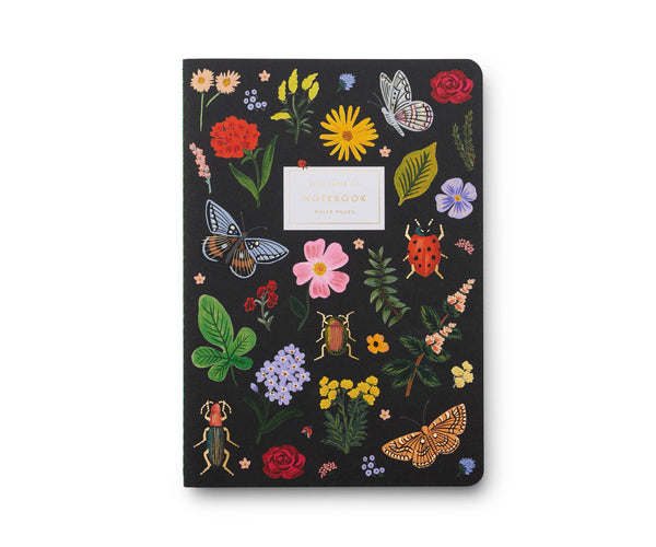 Curio Notebooks, Assorted Set/3