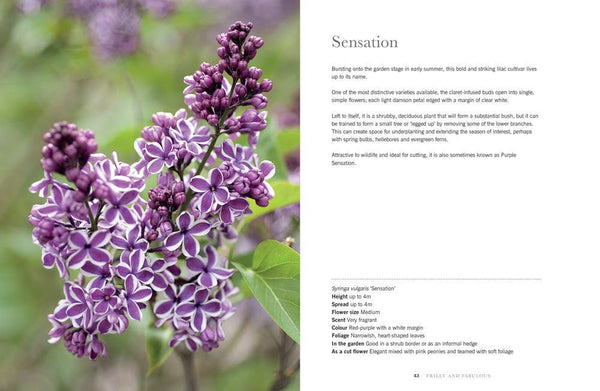 Book, Lilacs: Beautiful Varieties for Home & Garden
