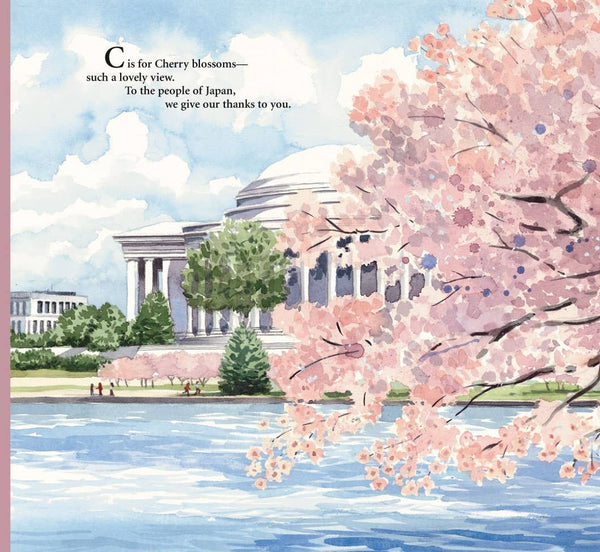 Children's Book, N is for our Nation's Capital: A Washington DC Alphabet