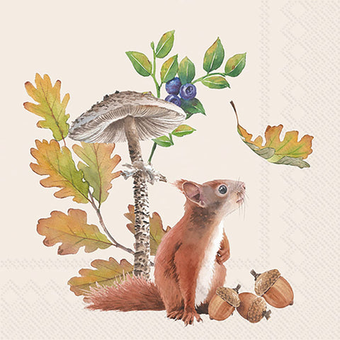 Napkins, Cocktail, Fall Squirrel