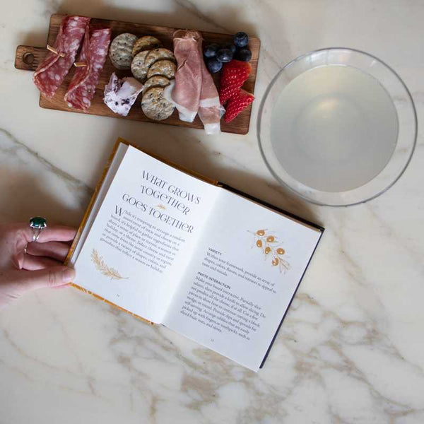 Book, The Little Book of Charcuterie and Cheese