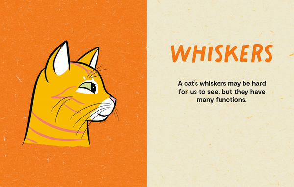 Book, Kitty Language