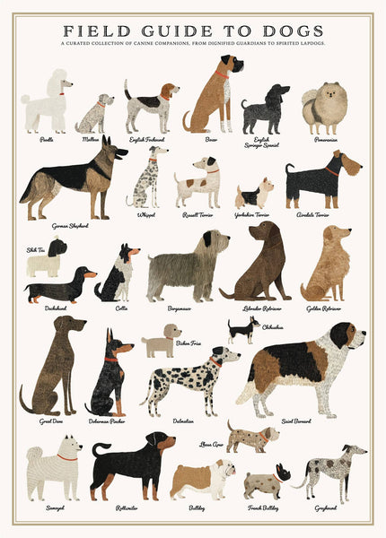 Puzzle, Dogs 500 Pc