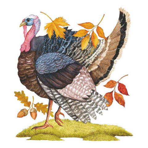 Napkins, Cocktail, Gobble Gobble