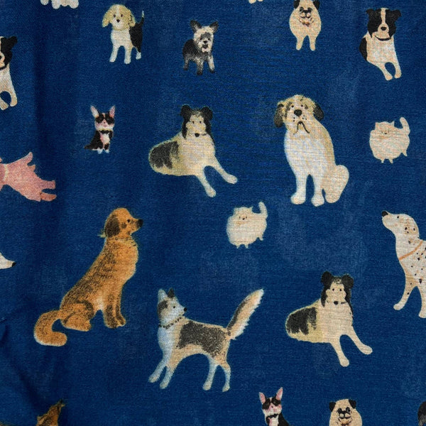 Scarf, Dog with Mixed Breeds