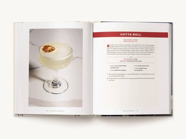 Book, Cocktail America