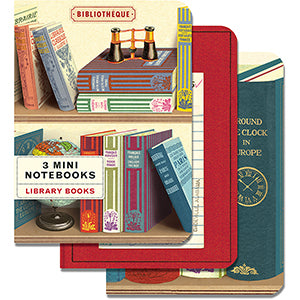 Notebooks, Set/3, Library Books