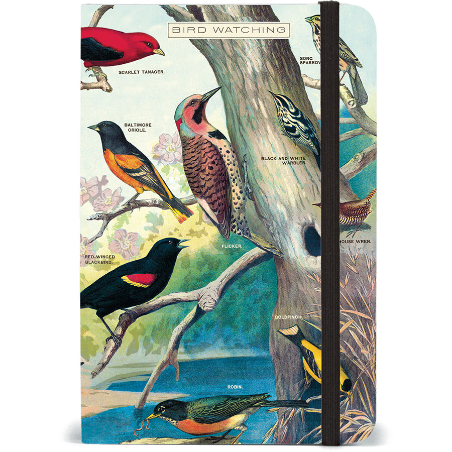 Notebook, 4x6 Bird Watching