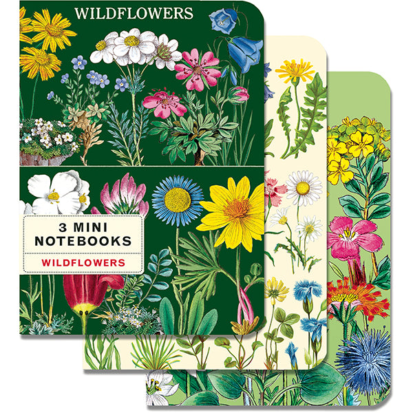 Notebooks, Set/3, Wildflowers