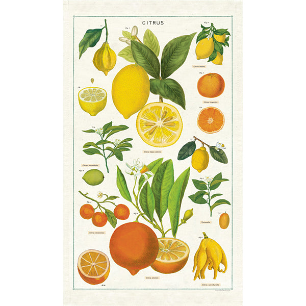 Tea Towel, Citrus
