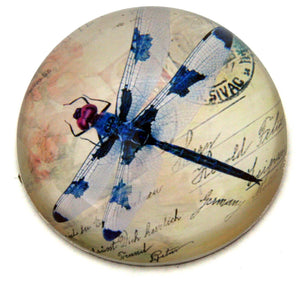 Paperweight, Glass Dragonfly