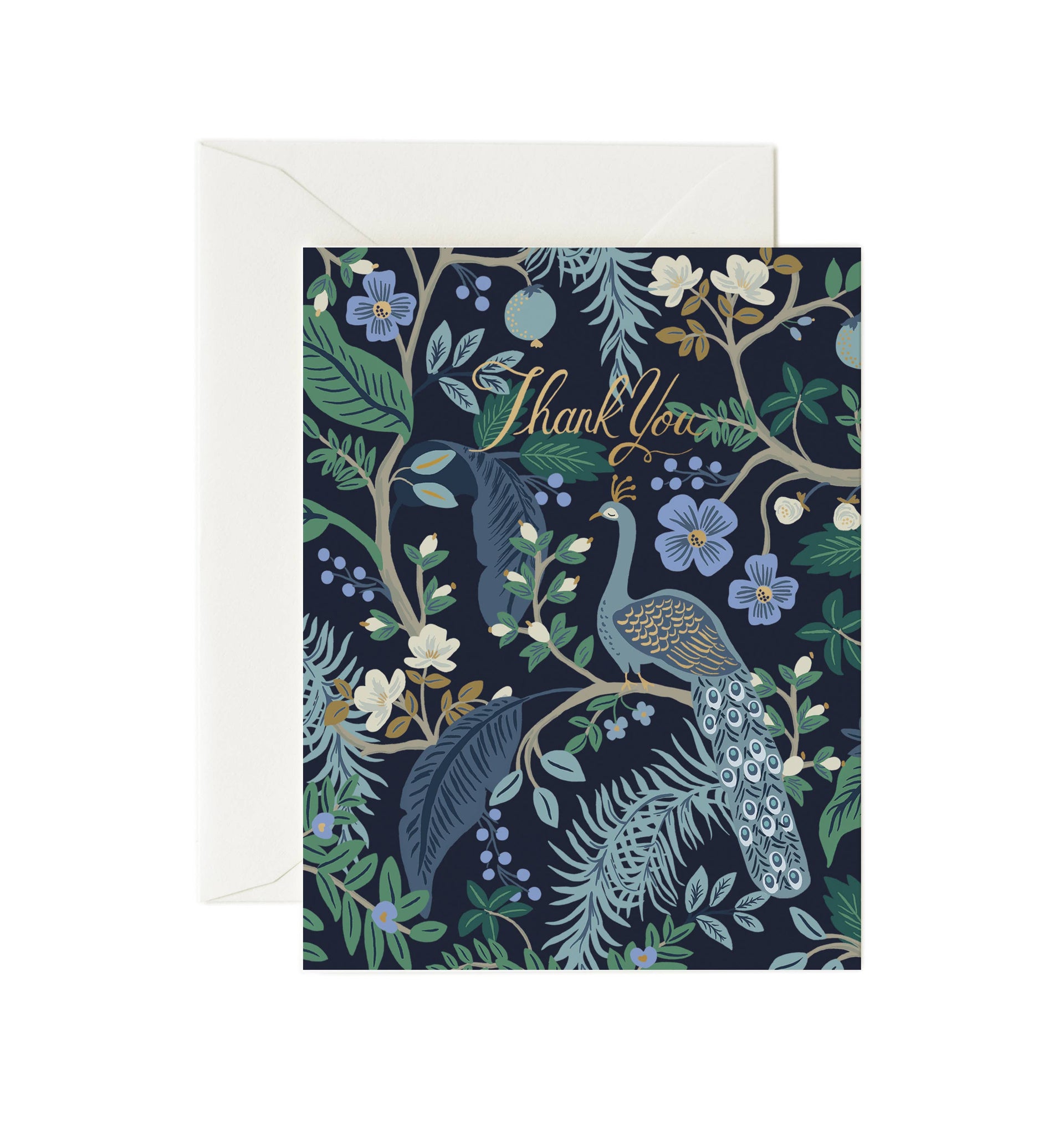 Boxed Set of Peacock Thank You Cards
