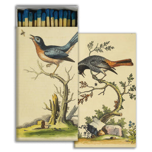 Matches - Warwick Birds