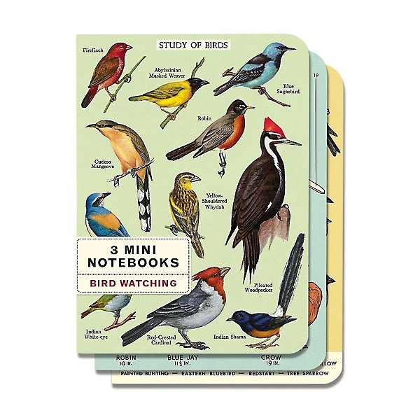 Notebooks, Set/ 3 Bird Watching Mini Notebooks
