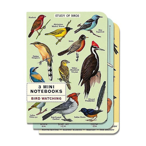 Notebooks, Set/ 3 Bird Watching Mini Notebooks