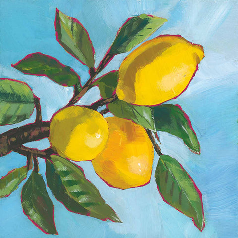 Napkins, Cocktail, Lemon Musee
