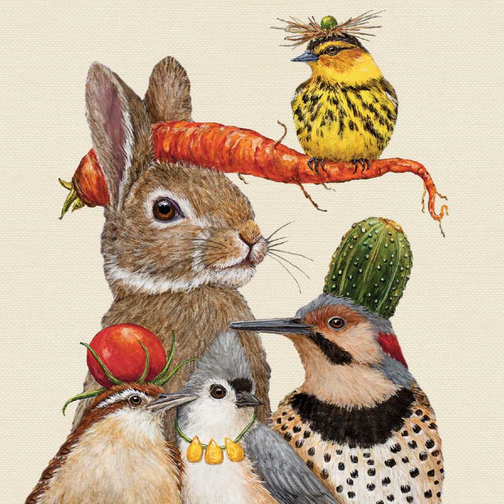 Napkins, Lunch, Harvest Party