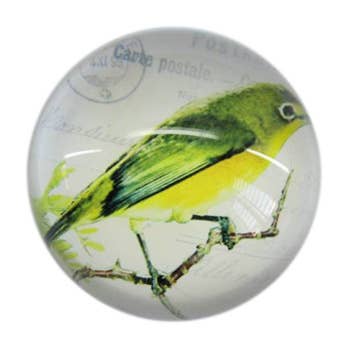 Paperweight, Glass Yellow/Green Bird