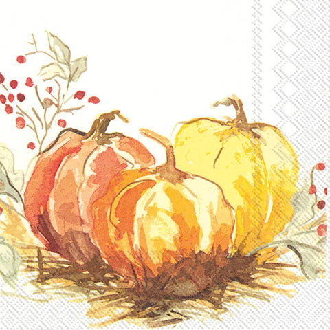 Napkins,  Cocktail, Painted Pumpkin